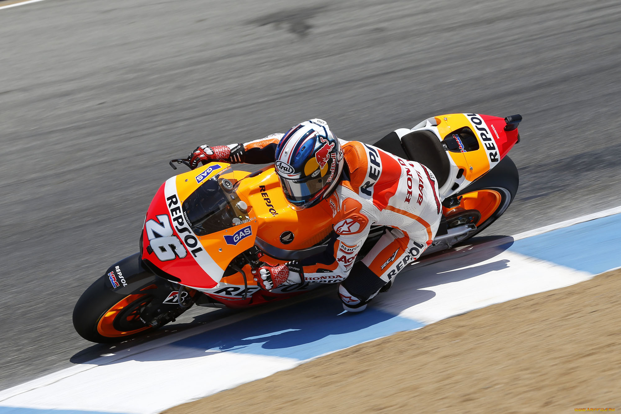 , , motogp, 2013